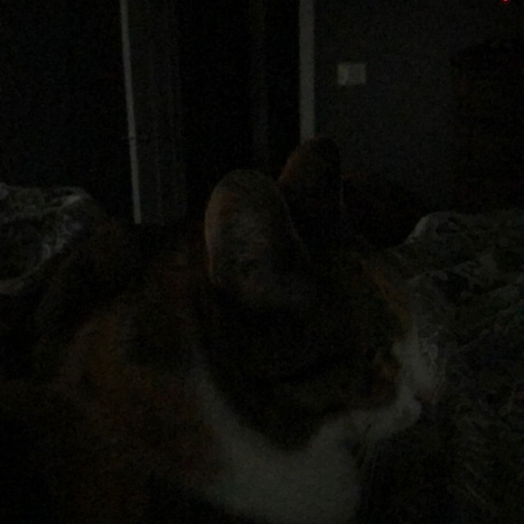 Meet your Posher, Ashley - Picture 1 of 1